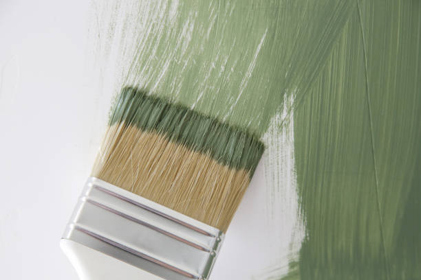 Trusted Lockport, NY Mold Removal Experts