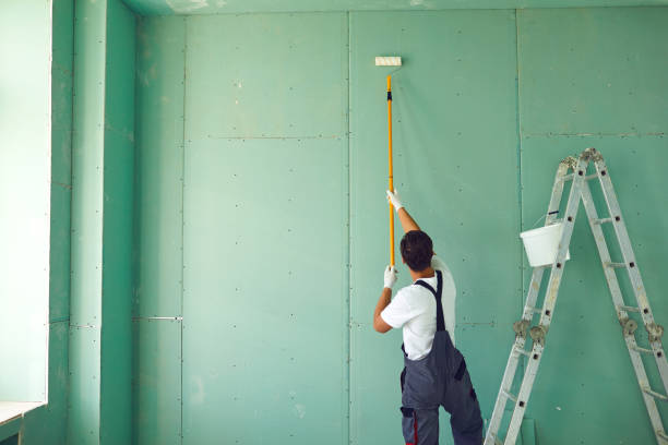  Lockport, NY Mold Removal Pros