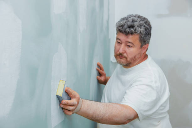 Best Forensic Mold Investigation  in Lockport, NY