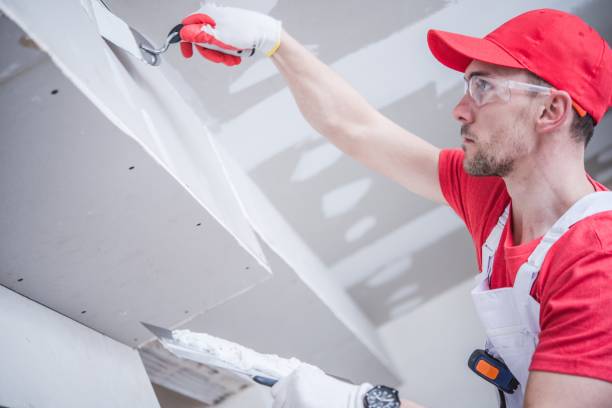 Best Dehumidification Services  in Lockport, NY