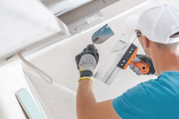 Best Basement Mold Removal  in Lockport, NY